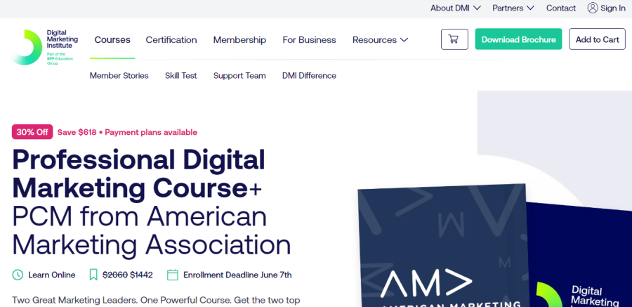 Professional Digital Marketing Certificate